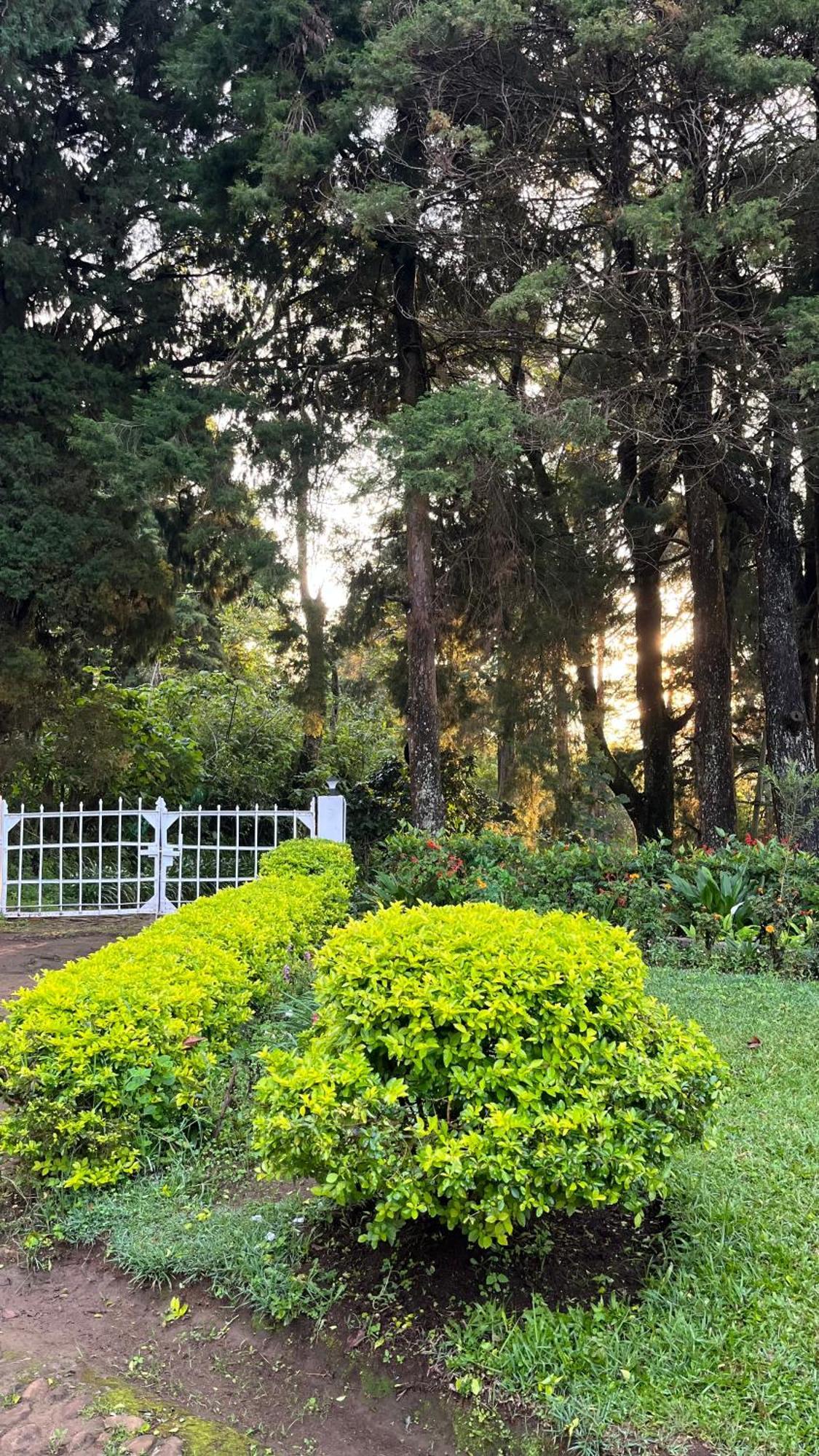 Tentgram Planters Bungalow Suryanelli Zewnętrze zdjęcie